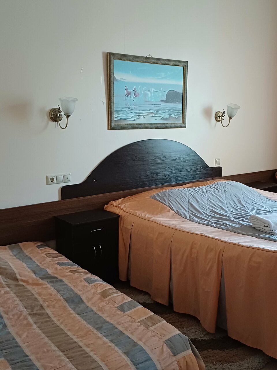 Гостиница Петровская Шлиссельбург-92